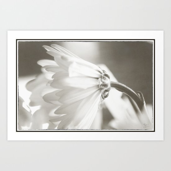 Purity Art Print