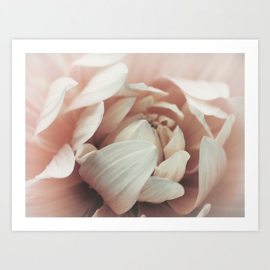 in bloom Art Print
