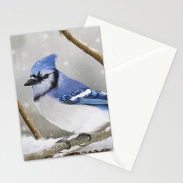 Blue Jay in Winter Stationery Cards