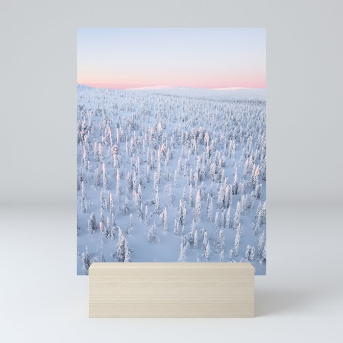 Frozen Forest | Aerial Drone Mini Art Print