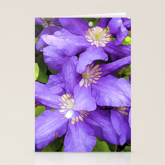 Wonder Stationery Cards