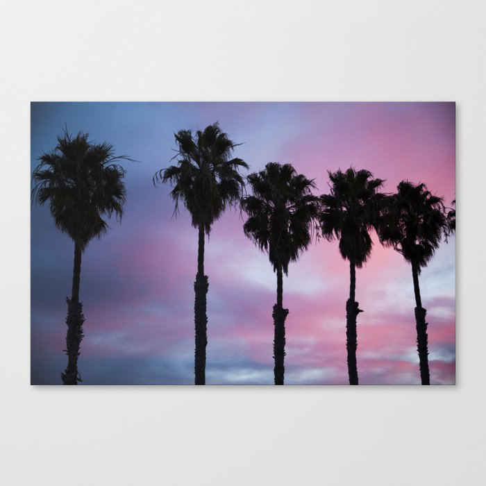 Palms at Dusk Canvas Print