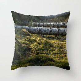 Go Green Throw Pillow