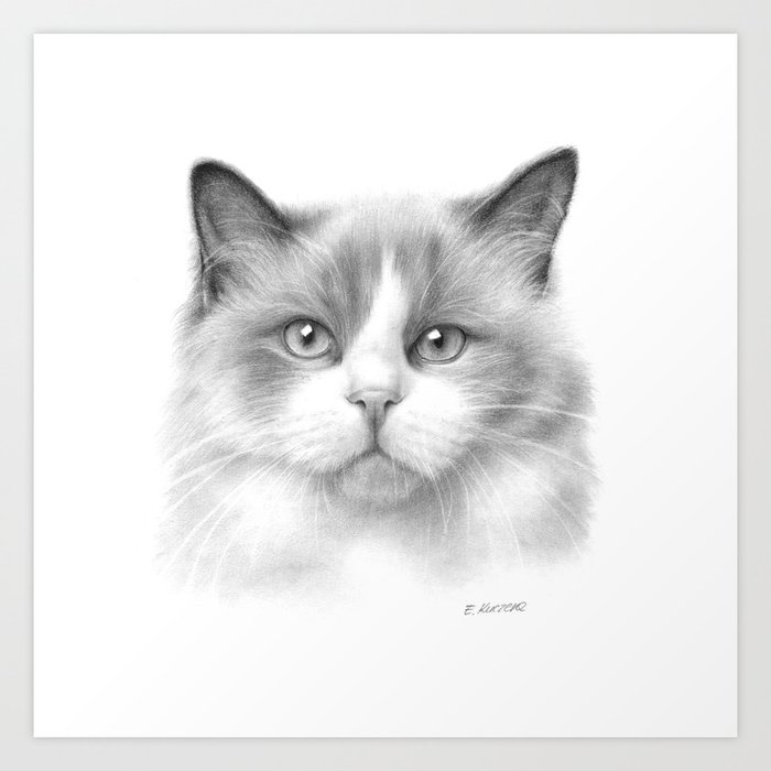 Cat Graphite Pencil Drawing Art Print By Traditionalartprints Society6 Learning how to draw animals like dogs is easier than it seems. cat graphite pencil drawing art print by traditionalartprints