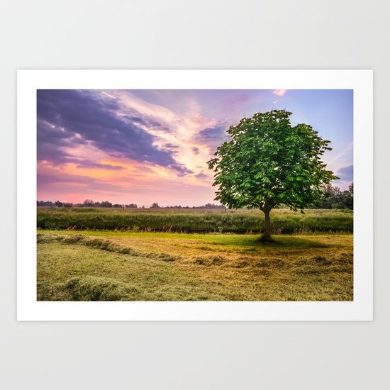 Green Tree and Sunset Sky Art Print