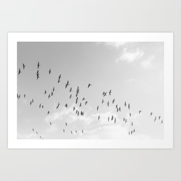 Flock of geese in flight Art Print