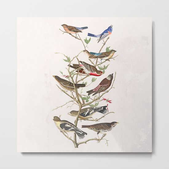 Bird Tree Metal Print