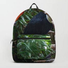 A toucan laid on a tree branch in the forest Backpack