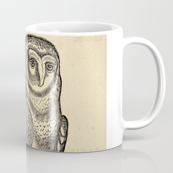 Antique Barn Owl Coffee Mug