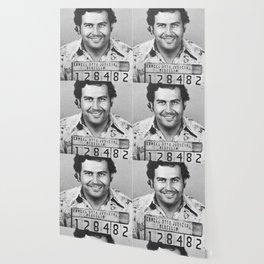 Escobar Wallpaper For Any Decor Style Society6