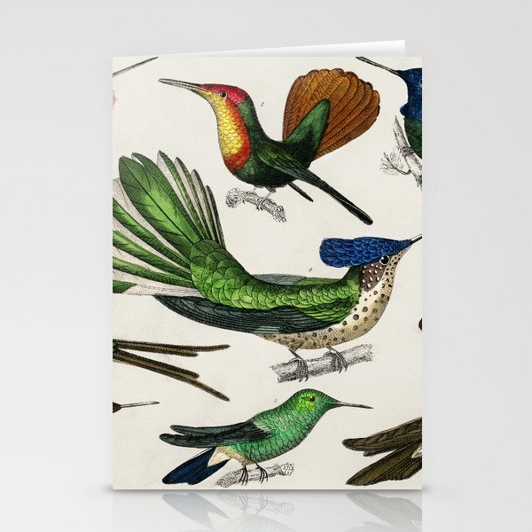 Tropical Birds Stationery Cards