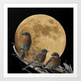 Bluebird Moon Art Print
