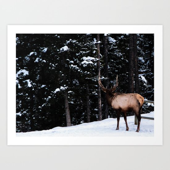 All alone Art Print