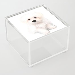 Cute Maltese  dog.Perfect gift for dog lovers Acrylic Box