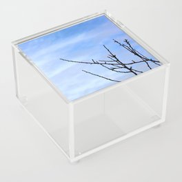Winter branches negative space Acrylic Box