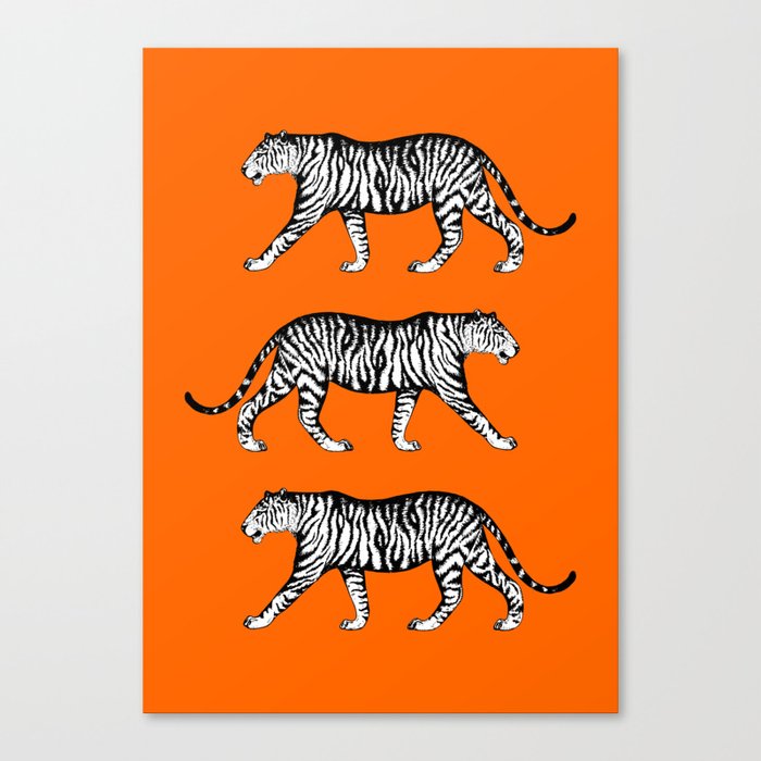 Tigers (Orange and White) Canvas Print