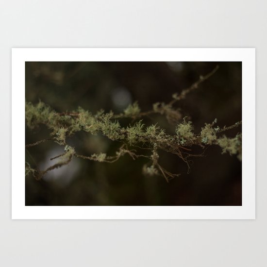 Tree Fuzz Art Print