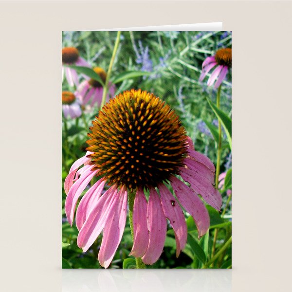 Cone Flowers in Full Bloom Stationery Cards by Digable Designs Society6