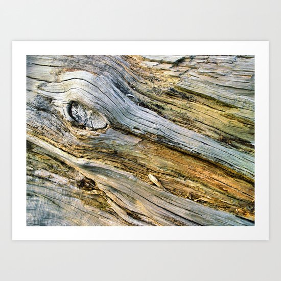 Jersey Wind II Art Print