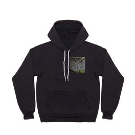 Dried out tree stump Hoody