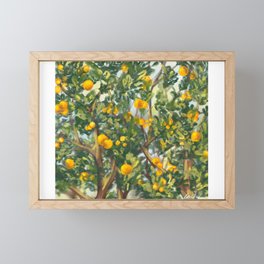 Orange Tree Framed Mini Art Print