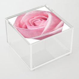 Pink Rose Acrylic Box