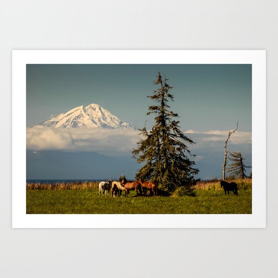 Horses and Mount Redoubt, Enroute to Homer, Alaska Art Print