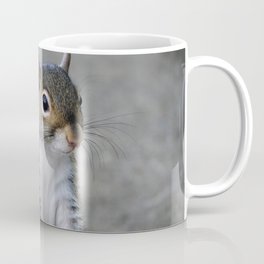 Squirrel Coffee Mug
