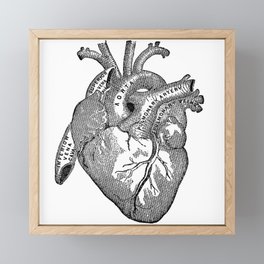Vintage Anatomy Heart Framed Mini Art Print