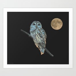 Owl, See the Moon: Barred Owl Art Print