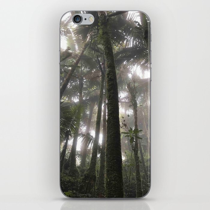 Tropical Jungle - Palm Trees iPhone Skin