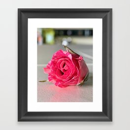 Little Rose Framed Art Print