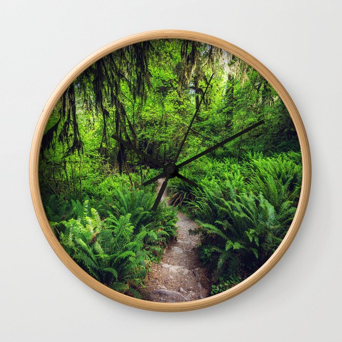 Rainforest Trail Wall Clock
