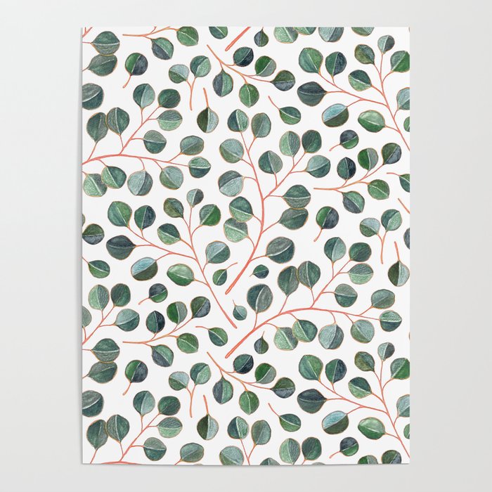 Simple Silver Dollar Eucalyptus Leaves on White Poster