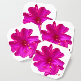 Flower 06 Coaster
