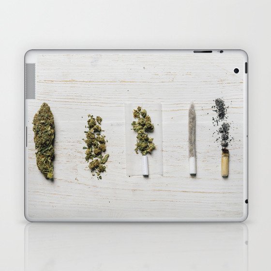 Evolution of weed Laptop & iPad Skin