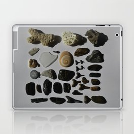 Beach Day Fossils Laptop & iPad Skin