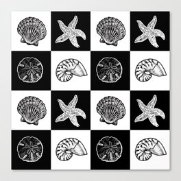 Checkered Seashells - Black and White Canvas Print