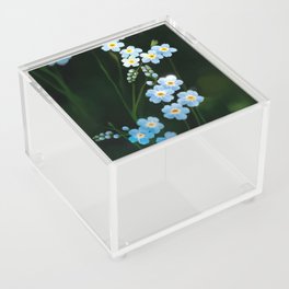 Forget Me Not Acrylic Box