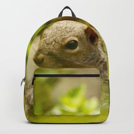 Squirrel! Backpack | Squirrel, Animal, Summer, Nature, Wildlife, Green, Rodent, Cute, Photo, Outdoors 