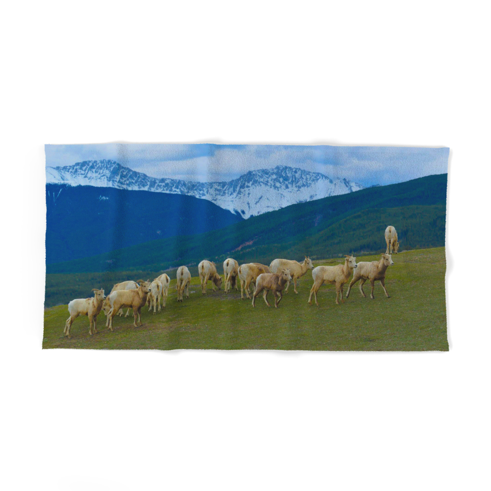 Female Mountain Goats on Old Fort Point in Jasper National Park, Canada Bath Towel by western_wanderlust