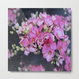 Pink Petals Metal Print | Petals, Pink, Green, Encaustic, Flower, Encausticcollage, Collage 