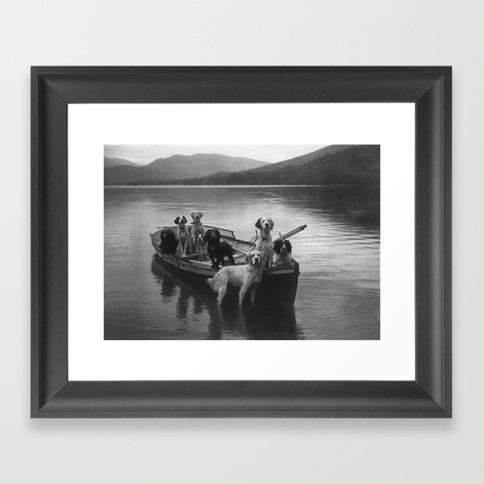 Dogs on a boat black and white canine photograph portrait - photographs - photography Framed Art Print