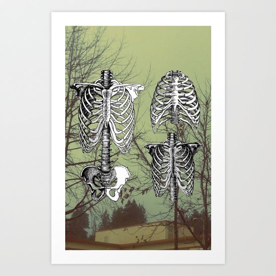 Bones Art Print