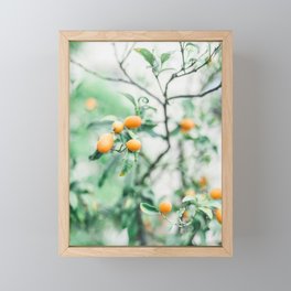 Small Greek Citrus Fruit in Spetses in Greece | Travel Photo Wall Art Print in Green and Orange Framed Mini Art Print