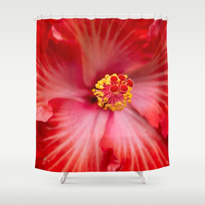 Luminescence Red Tropical Hibiscus Shower Curtain