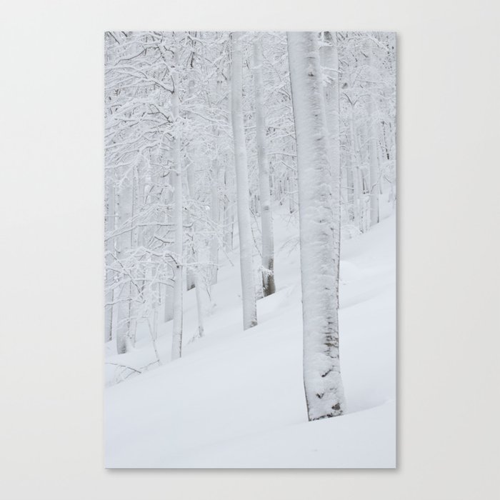 Snow covered forest winter wonderland Canvas Print