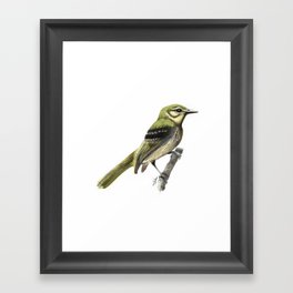 Birds Framed Art Print