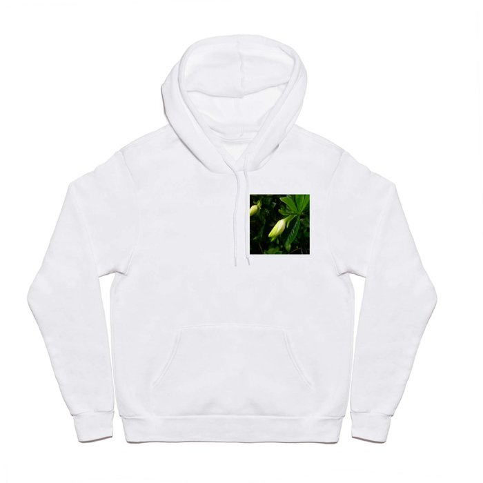 Ready to Bloom Hoody