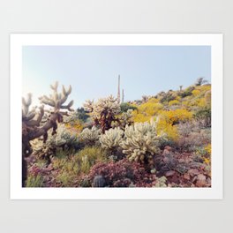 Arizona Color Art Print